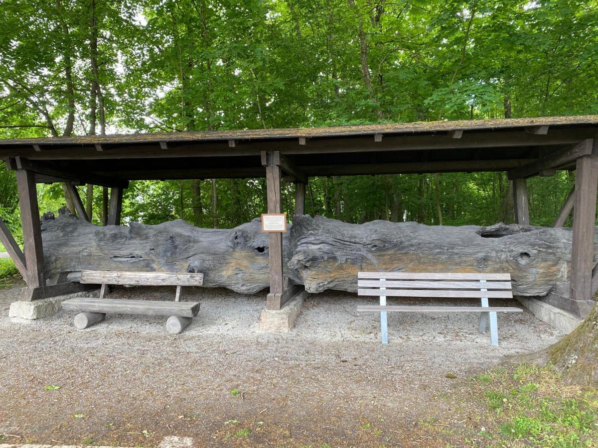 Appartementhof Stadler Pocking  Exteriör bild