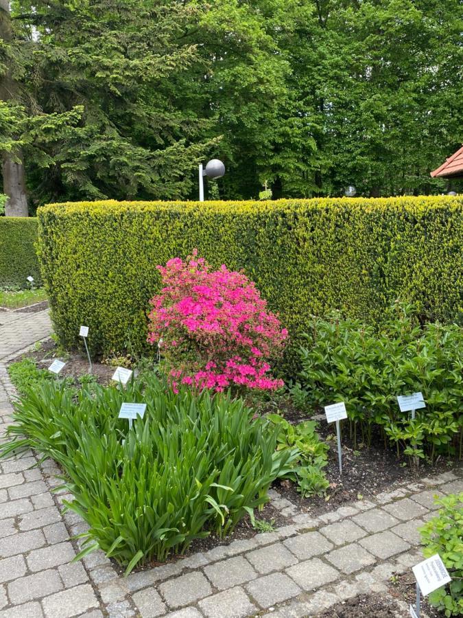 Appartementhof Stadler Pocking  Exteriör bild