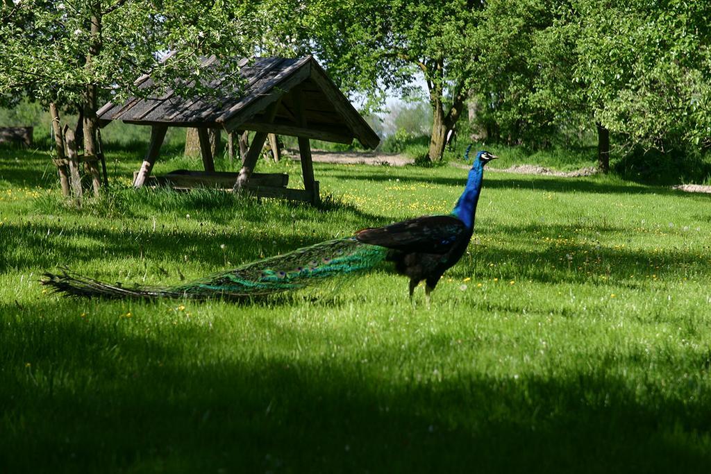 Appartementhof Stadler Pocking  Exteriör bild